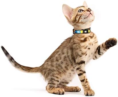 Max & Molly Cat & Kitten Nyakörv Bell & Szakadár Biztonsági Csat, Szórakoztató Stílus Lány, vagy Fiú a Macskák & Cicák, Vízálló,