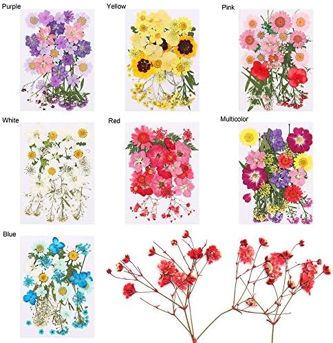 DIY Kézműves Kristály Ékszerek Készítése UV Epoxi Babysbreath Gyanta Penész Kitöltése Virág Gyanta Töltelék Szárított Virágok